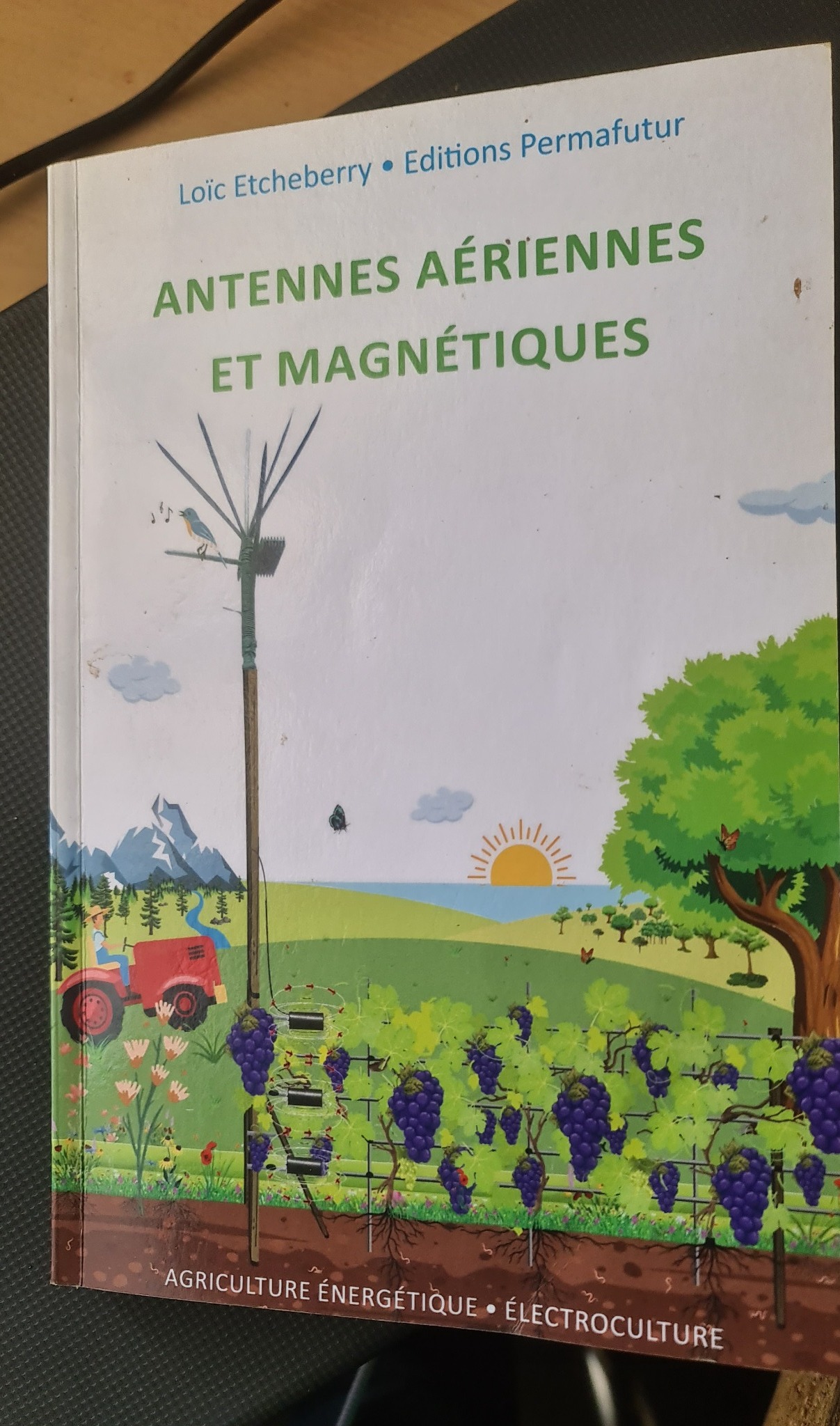 Couverture du livre Antennes aériennes et magnétiques publié par les Éditions Permafutur