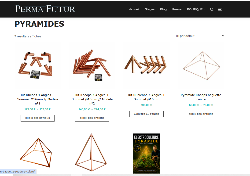 Capture de la catégorie pyramides du site Permafutur en 2026
